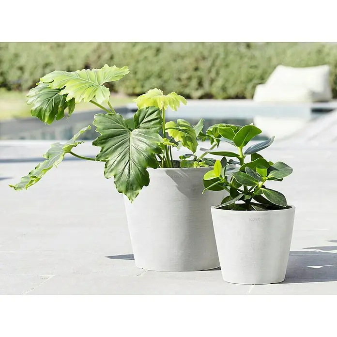 Ecopots Amsterdam Pflanztopf - Außenmaß (Ø x H): 30 x 25,4 cm, Kunststoff, Weiß - Zwei moderne Ecoplants Blumentöpfe aus nachhaltigen Materialien mit Grünpflanzen auf einer Terrasse, perfekt für den Außenbereich.