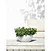 Ecopots Brussels Pflanzschale rund (Außenmaß (Ø x H): 30 x 14,8 cm, Kunststoff, Weiß) | BAUHAUS