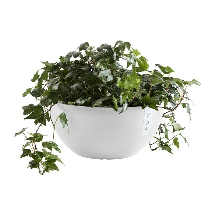 Ecopots Brussels Pflanzschale rund (Außenmaß (Ø x H): 30 x 14,8 cm, Kunststoff, Weiß) | BAUHAUS