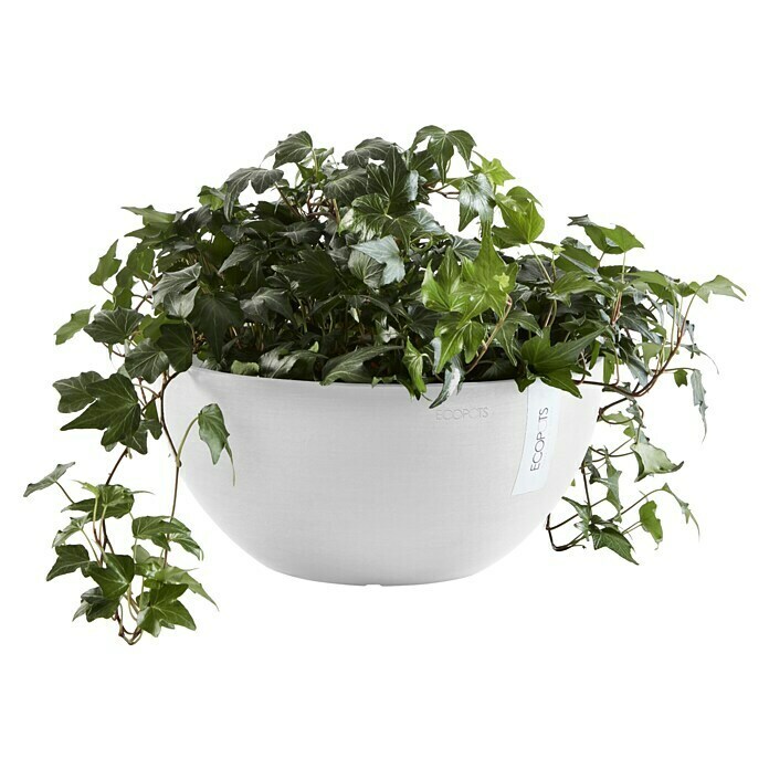 Ecopots Brussels Pflanzschale rund (Außenmaß (Ø x H): 35 x 16,7 cm, Kunststoff, Weiß) | BAUHAUS