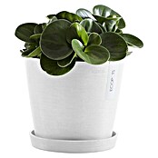 Ecopots Amsterdam Pflanztopf Amsterdam (Außenmaß (Ø x H): 20 x 17,1 cm, Kunststoff, Weiß) | BAUHAUS