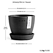 Ecopots Pflanztopf Antwerpen Mini (Außenmaß (Ø x H): 11,5 x 10,1 cm, Kunststoff, Dunkelgrau) | BAUHAUS