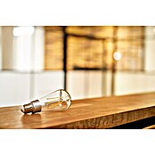 Shelly Smart-LED-Lampe Vintage ST64 (E27, Dimmbar, Warmweiß, 750 lm, 7 W) | BAUHAUS