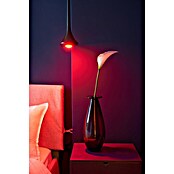 Shelly Smart-LED-Lampe Duo - RGBW GU10 (GU10, Dimmbar, Warmweiß, 400 lm, 5 W) | BAUHAUS