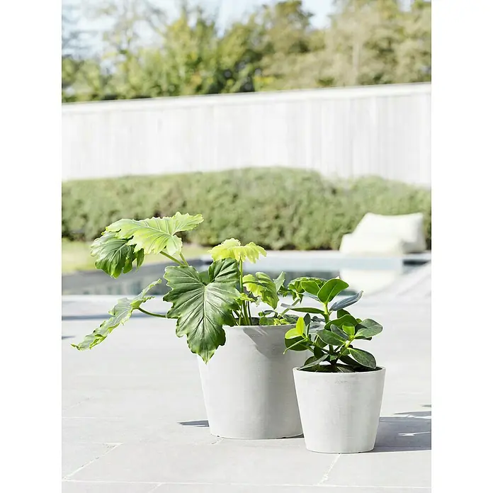 Ecopots Amsterdam Pflanztopf - Außenmaß (Ø x H): 20 x 17,1 cm, Kunststoff, Weiß - Zwei graue Übertöpfe mit verschiedenen Pflanzen im Freien. Die Töpfe sind aus der Nähe aufgenommen und wirken schlicht und modern.