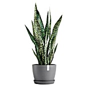 Ecopots Pflanztopf Stockholm (Außenmaß (Ø x H): 23,2 x 17,6 cm, Kunststoff, Grau) | BAUHAUS