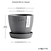 Ecopots Pflanztopf Antwerpen Mini (Außenmaß (Ø x H): 11,5 x 10,1 cm, Kunststoff, Grau) | BAUHAUS