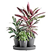 Ecopots Pflanztopf Dubai (Außenmaß (Ø x H): 56,6 x 30 cm, Kunststoff, Grau) | BAUHAUS