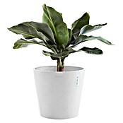 Ecopots Amsterdam Pflanztopf Amsterdam (Außenmaß (Ø x H): 30 x 25,4 cm, Kunststoff, Weiß) | BAUHAUS
