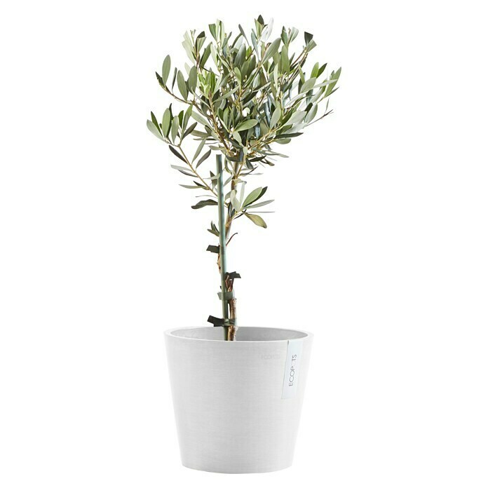Ecopots Amsterdam Pflanzkübel rund (Außenmaß (Ø x H): 20 x 17,2 cm, Kunststoff, Weiß, Mit Bewässerungssystem) | BAUHAUS
