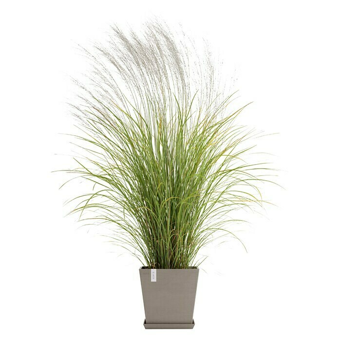 Ecopots Rotterdam Pflanzkasten mit Wasserspeicher (Außenmaß (L x B x H): 35 x 35 x 34,4 cm, Kunststoff, Braungrau) | BAUHAUS