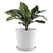 Ecopots Amsterdam Pflanzkübel rund (Außenmaß (Ø x H): 30 x 25,9 cm, Kunststoff, Weiß, Mit Bewässerungssystem) | BAUHAUS
