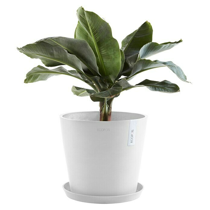 Ecopots Amsterdam Pflanztopf Amsterdam (Außenmaß (Ø x H): 40 x 34,5 cm, Kunststoff, Weiß) | BAUHAUS