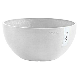 Ecopots Brussels Pflanzschale rund (Außenmaß (Ø x H): 30 x 14,8 cm, Kunststoff, Weiß)