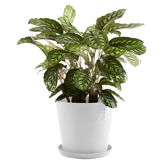Ecopots Amsterdam Pflanztopf Amsterdam (Außenmaß (Ø x H): 40 x 34,5 cm, Kunststoff, Weiß) | BAUHAUS
