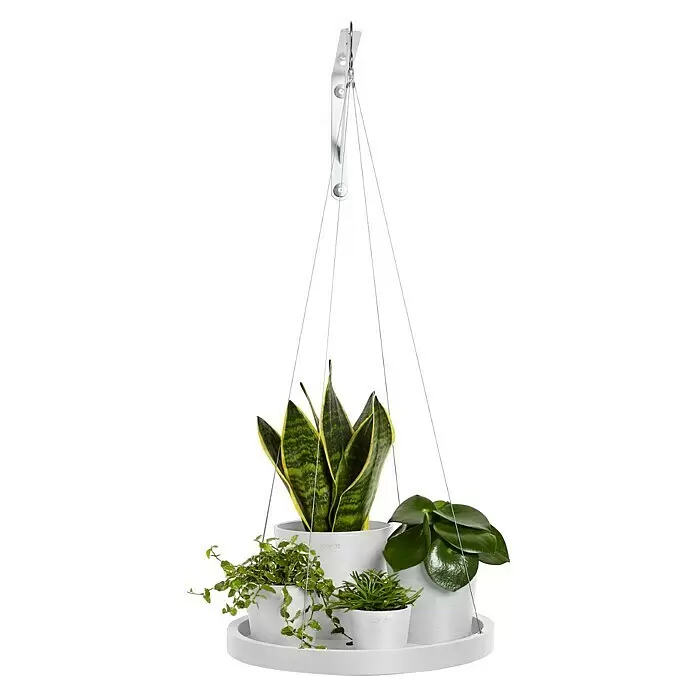 Ecopots Blumenampel - Außenmaß (Ø x H): 36 x 3 cm, Kunststoff, Weiß - Weißes Hängepflanzgefäß-System mit mehreren Töpfen und Pflanzen, an dünnen Drähten von einem Haken aufgehängt.