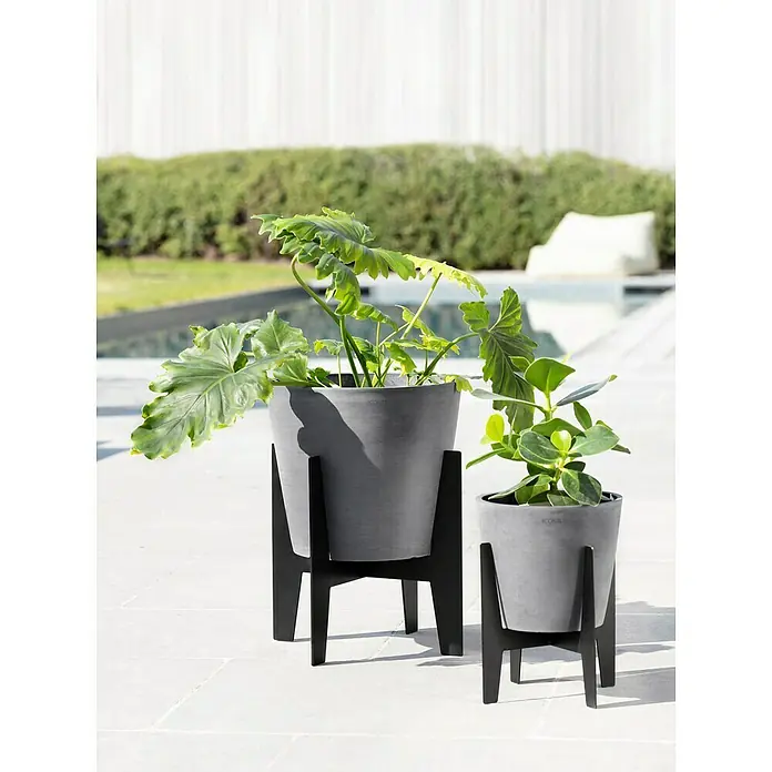 Ecopots Standfuß On Stilts - Passend für: Amsterdam 20, Rotterdam 20, Schwarz, 20 cm - Graue Pflanzgefäße auf schlanken, schwarzen Ständern, die modernes Design mit natürlicher Schönheit für stilvolle Innenräume verbinden.