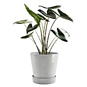 Ecopots Amsterdam Blumentopf-Untersetzer mit Rollen (Außenmaß (Ø x H): 51 x 12,4 cm, Kunststoff, Weiß Grau) | BAUHAUS