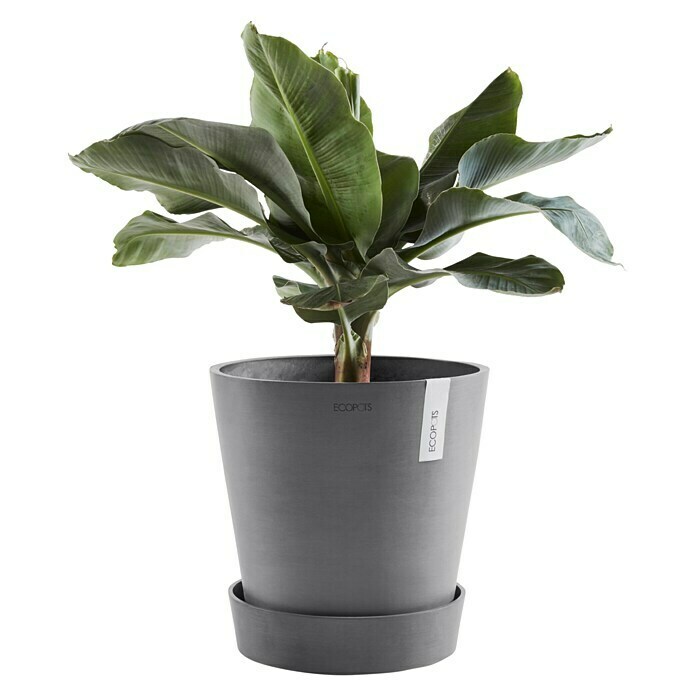 Ecopots Amsterdam Blumentopf-Untersetzer mit Rollen (Außenmaß (Ø x H): 51 x 10,1 cm, Kunststoff, Grau) | BAUHAUS