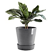 Ecopots Amsterdam Blumentopf-Untersetzer mit Rollen (Außenmaß (Ø x H): 51 x 10,1 cm, Kunststoff, Grau) | BAUHAUS