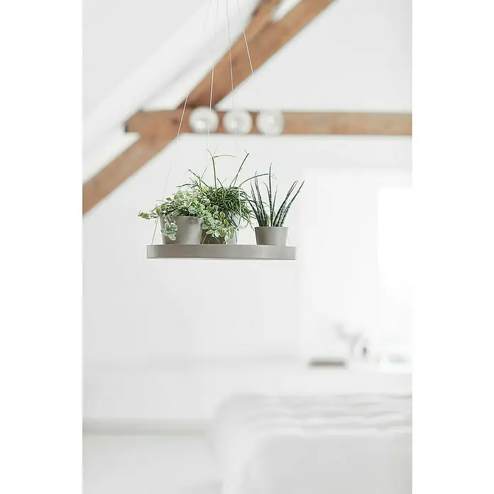 Ecopots Blumenampel - Außenmaß (Ø x H): 36 x 3 cm, Kunststoff, Braungrau - Hängendes Pflanzenregal mit drei kleinen Zimmerpflanzen in Töpfen, das eine stilvolle und moderne Dekoration für jeden Raum darstellt.