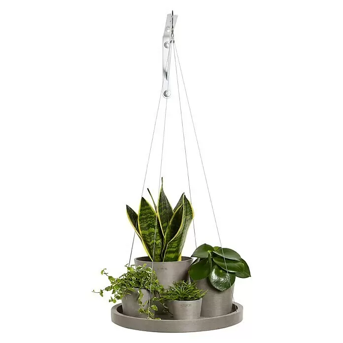 Ecopots Blumenampel - Außenmaß (Ø x H): 36 x 3 cm, Kunststoff, Braungrau - Grauer hängender Pflanzentopfhalter mit vier Töpfen und verschiedenen Pflanzen.