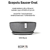 Ecopots Sofia Blumentopf-Untersetzer Breit (Außenmaß (L x B x H): 35,2 x 18,6 x 3 cm, Kunststoff, Grau) | BAUHAUS