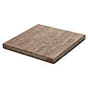 Terrassenplatte Saturn (50 x 50 x 4 cm, Greige, Beton)