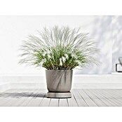 Ecopots Oslo Blumentopf-Untersetzer mit Rollen (Außenmaß (Ø x H): 50 x 10,5 cm, Kunststoff, Braungrau) | BAUHAUS