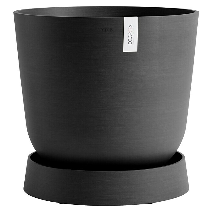 Ecopots Oslo Blumentopf-Untersetzer mit Rollen (Außenmaß (Ø x H): 50 x 10,5 cm, Kunststoff, Dunkelgrau) | BAUHAUS