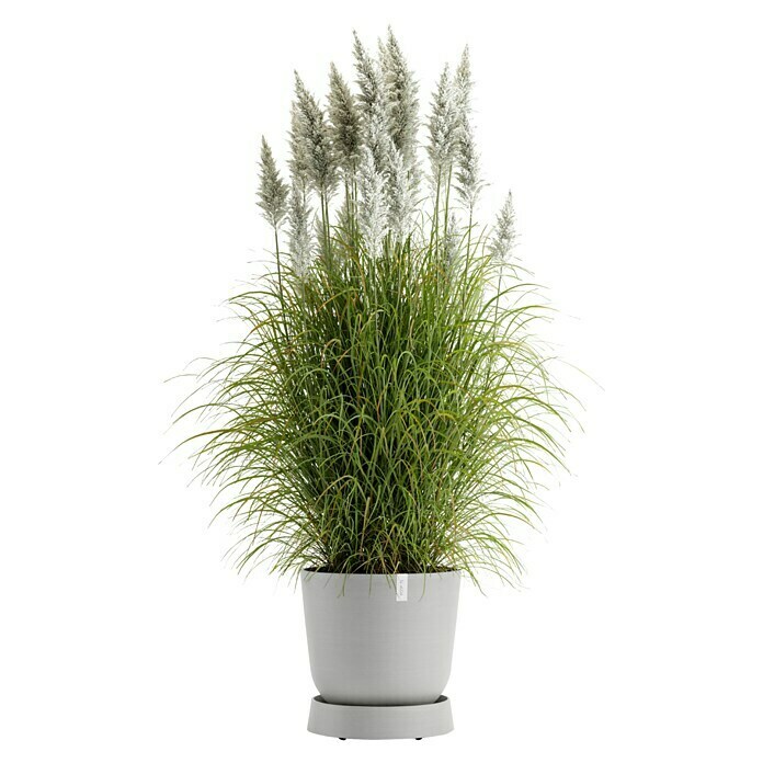 Ecopots Oslo Blumentopf-Untersetzer mit Rollen (Außenmaß (Ø x H): 41 x 9,5 cm, Kunststoff, Weißgrau) | BAUHAUS