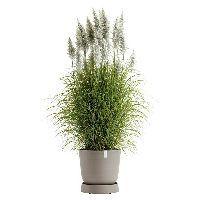 Ecopots Oslo Blumentopf-Untersetzer mit Rollen (Außenmaß (Ø x H): 41 x 9,5 cm, Kunststoff, Braungrau) | BAUHAUS