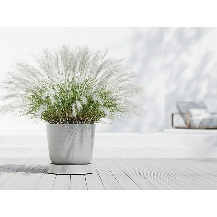 Ecopots Oslo Blumentopf-Untersetzer mit Rollen (Außenmaß (Ø x H): 50 x 10,5 cm, Kunststoff, Weißgrau) | BAUHAUS