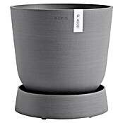 Ecopots Oslo Blumentopf-Untersetzer mit Rollen (Außenmaß (Ø x H): 32,2 x 8,5 cm, Kunststoff, Grau) | BAUHAUS