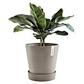 Ecopots Amsterdam Blumentopf-Untersetzer mit Rollen (Außenmaß (Ø x H): 51 x 12,4 cm, Kunststoff, Braungrau) | BAUHAUS