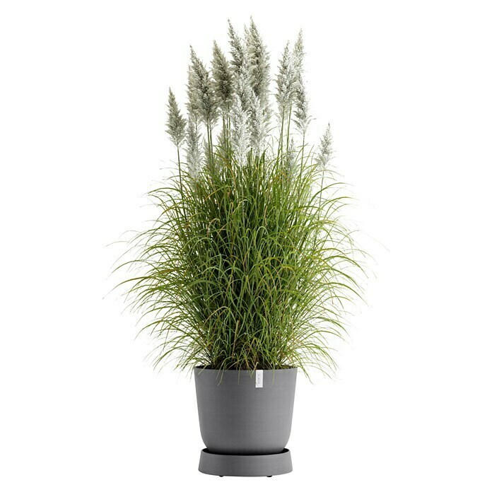 Ecopots Oslo Blumentopf-Untersetzer mit Rollen (Außenmaß (Ø x H): 41 x 9,5 cm, Kunststoff, Grau) | BAUHAUS