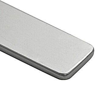 Top Form Perfil final para encimeras (Plata, An x L: 3,8 x 63 cm)