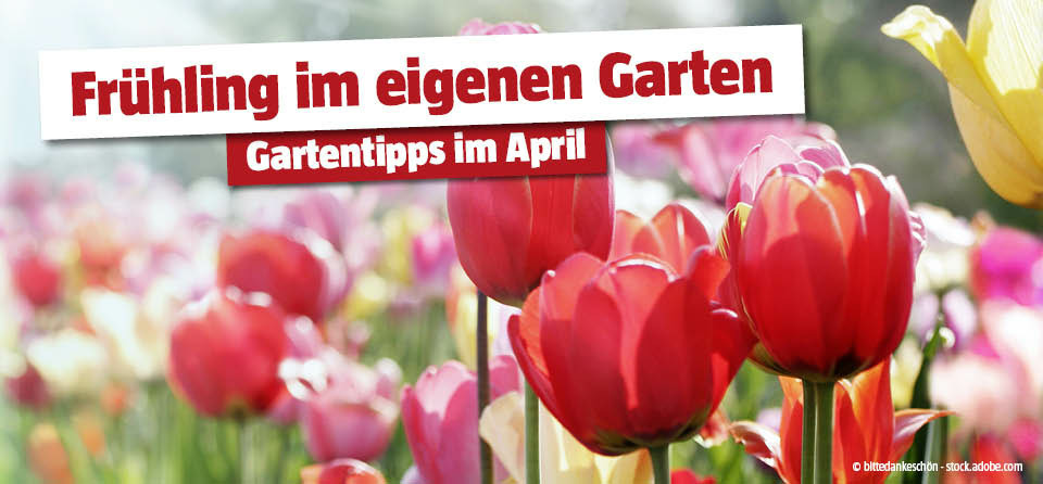 Gartentipps im April