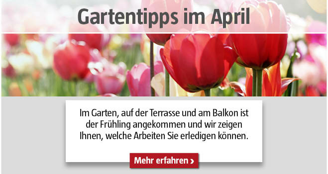 Gartentipps April