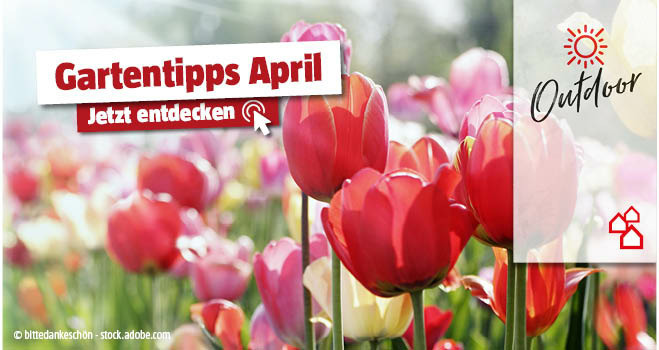 Gartentipps April