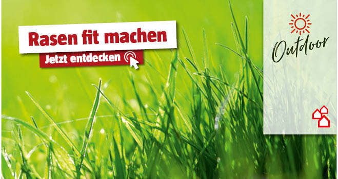 Rasenerneuerung