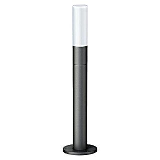 Steinel LED-Außenleuchte GL 65 (Ø x H: 180 x 770 mm, 8,5 W, Farbe Gehäuse: Anthrazit/Weiß, Warmweiß, Ohne Bewegungsmelder)