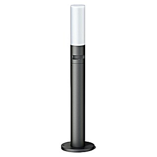 Steinel LED-Außenleuchte GL 65 S (Ø x H: 180 x 770 mm, 8,7 W, Farbe Gehäuse: Anthrazit/Weiß, Warmweiß, Mit Bewegungsmelder)