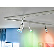 Paulmann Smart-LED-Lampe (GU10, Dimmbar, RGBW, 350 lm, 4,8 W, Weiß) | BAUHAUS