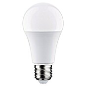 Paulmann Smart-LED-Lampe (E27, Dimmbar, RGBW, 806 lm, 9 W, Birne) | BAUHAUS