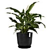 Ecopots Oslo Pflanztopf (Außenmaß (Ø x H): 45 x 39,4 cm, Kunststoff, Dunkelgrau) | BAUHAUS
