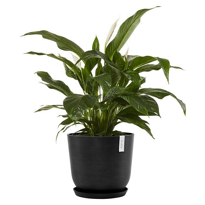 Ecopots Oslo Pflanztopf (Außenmaß (Ø x H): 45 x 39,4 cm, Kunststoff, Dunkelgrau) | BAUHAUS