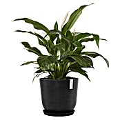 Ecopots Oslo Pflanztopf (Außenmaß (Ø x H): 45 x 39,4 cm, Kunststoff, Dunkelgrau) | BAUHAUS