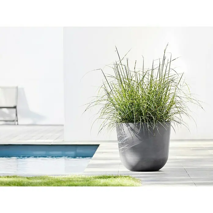 Ecopots Oslo Pflanztopf - Außenmaß (Ø x H): 45 x 39,4 cm, Kunststoff, Grau - Eine Nahaufnahme eines Ziergrases in einem grauen Pflanzgefäß, das auf einer Terrasse neben einem Schwimmbecken steht.