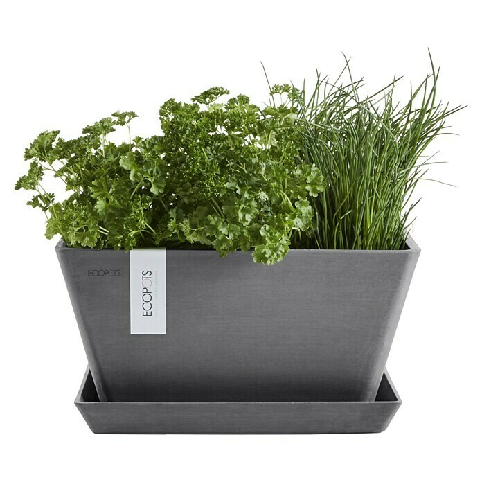 Ecopots Berlin Pflanzschale eckig (Außenmaß (L x B x H): 41 x 41 x 18 cm, Kunststoff, Grau) | BAUHAUS